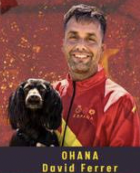 David & Ohana David & Ohana